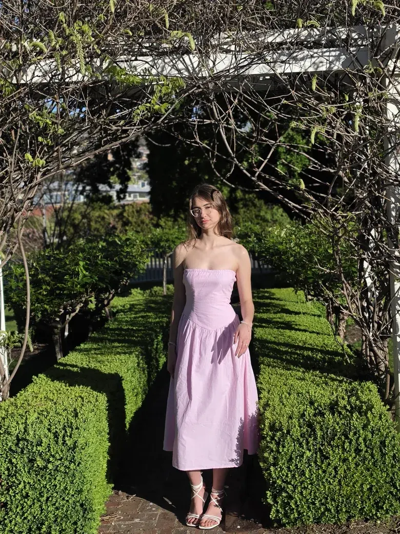 Rose Stripe Strapless Midi Dress